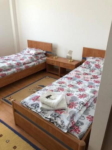 Фото номера Двухместный номер с 1 кроватью и собственной ванной комнатой Отель Magnific Hotel г. Borş 6